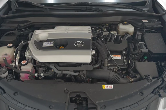 Lexus UX - Afbeelding 26 van 30