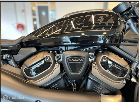 Harley-Davidson Sportster - Afbeelding 11 van 28
