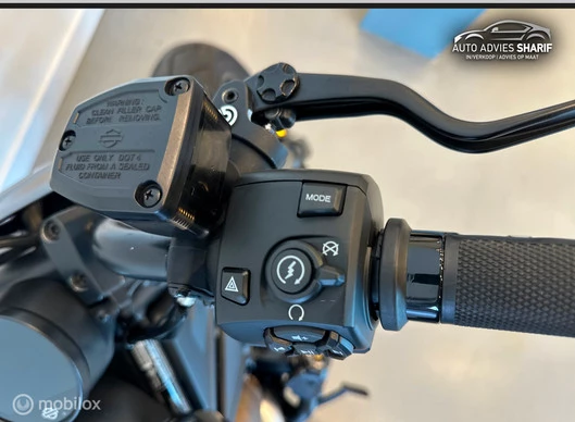 Harley-Davidson Sportster - Afbeelding 24 van 28