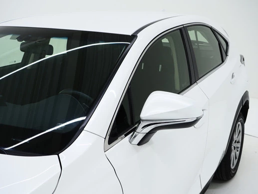 Lexus NX - Afbeelding 14 van 30