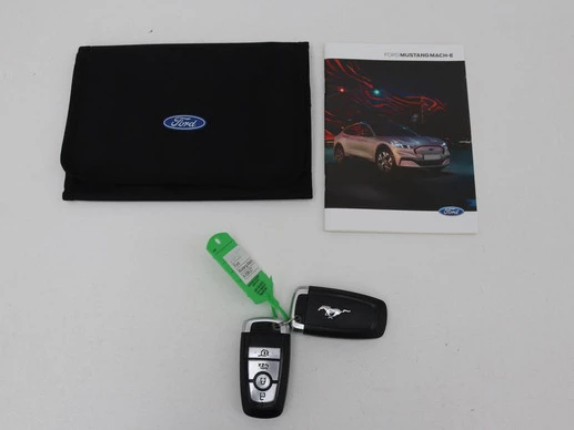 Ford Mustang Mach-E - Afbeelding 13 van 30