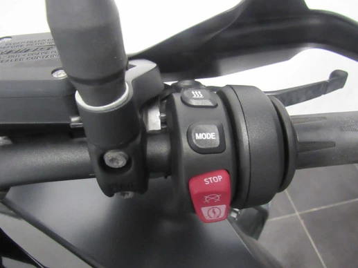 BMW R 1250 GS - Afbeelding 9 van 10