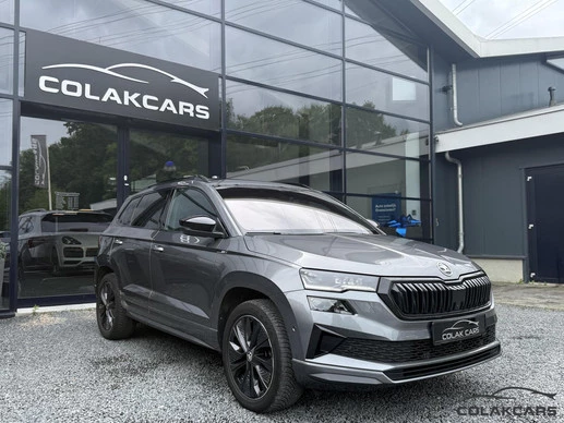 Škoda Karoq - Afbeelding 6 van 30