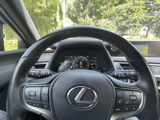 Lexus UX - Afbeelding 21 van 30