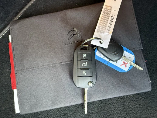Citroën ë-C4 - Afbeelding 17 van 30