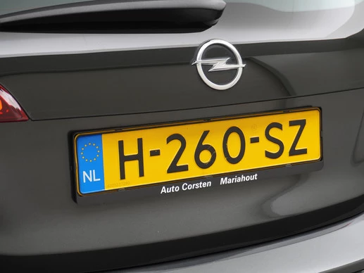 Opel Ampera-e - Afbeelding 29 van 30