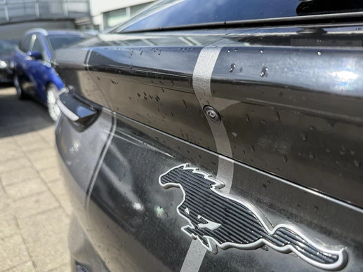 Ford Mustang Mach-E - Afbeelding 9 van 27