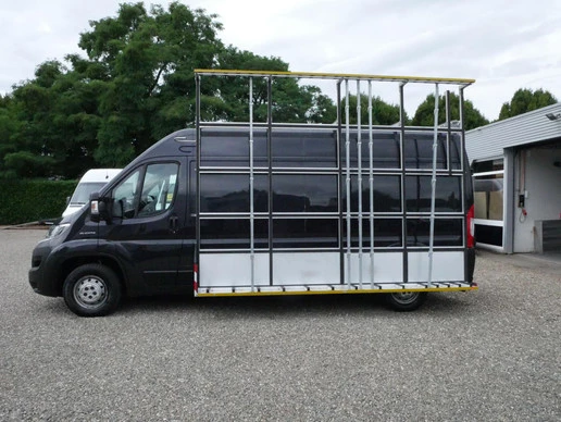 Fiat Ducato - Afbeelding 6 van 21