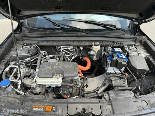 Mazda MX-30 - Afbeelding 14 van 20