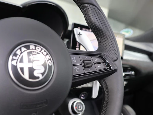 Alfa Romeo Tonale - Afbeelding 14 van 30