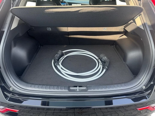 Kia Niro EV - Afbeelding 16 van 28