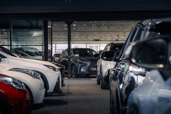 Lexus RX - Afbeelding 7 van 7