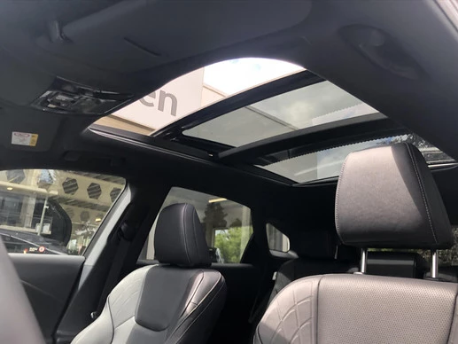Lexus RX - Afbeelding 19 van 30