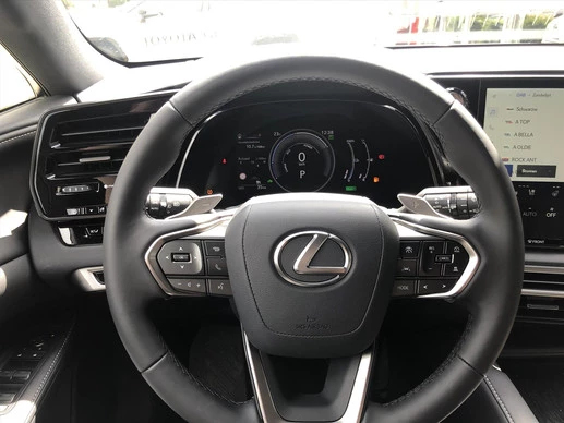 Lexus RX - Afbeelding 20 van 30