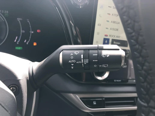 Lexus RX - Afbeelding 26 van 30