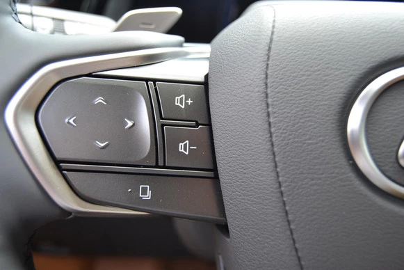 Lexus RZ - Afbeelding 17 van 30