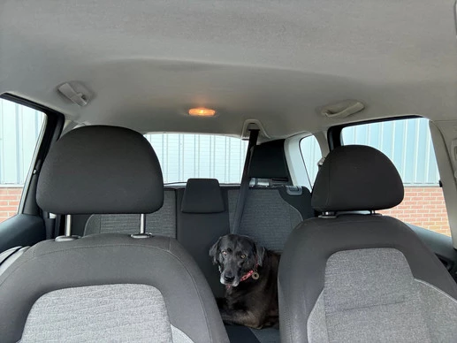 Citroën C3 Picasso - Afbeelding 23 van 30