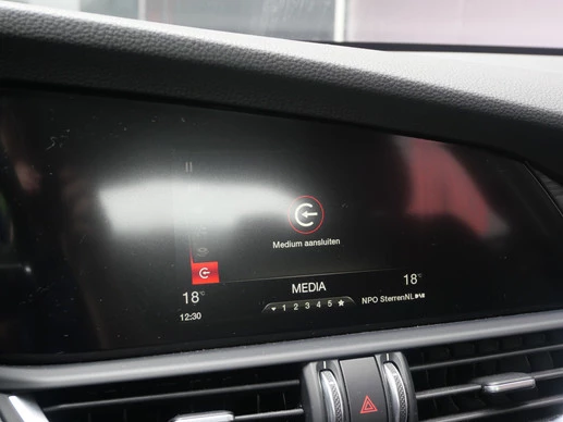 Alfa Romeo Giulia - Afbeelding 13 van 23