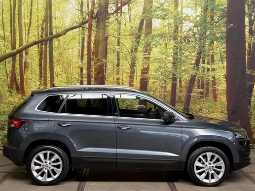 Škoda Karoq - Afbeelding 8 van 30