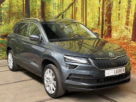 Škoda Karoq - Afbeelding 10 van 30