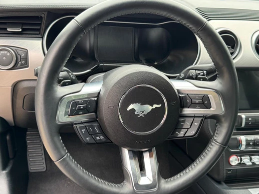 Ford Mustang - Afbeelding 24 van 24