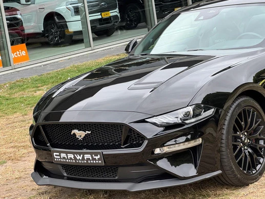 Ford Mustang - Afbeelding 16 van 24