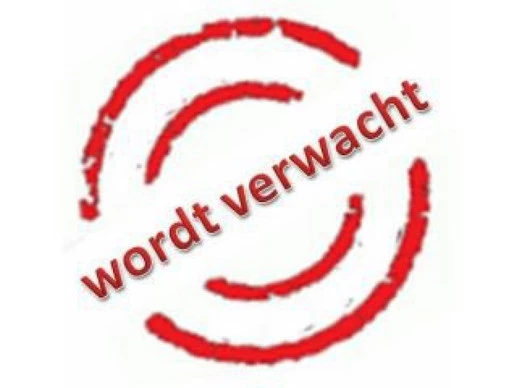 Kia Rio - Afbeelding 1 van 30