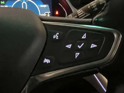 Opel Ampera-e - Afbeelding 14 van 21