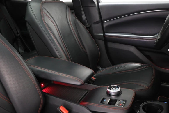 Ford Mustang Mach-E - Afbeelding 9 van 30