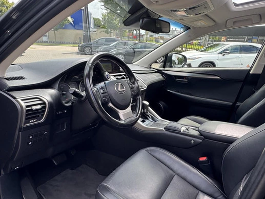 Lexus NX - Afbeelding 11 van 30