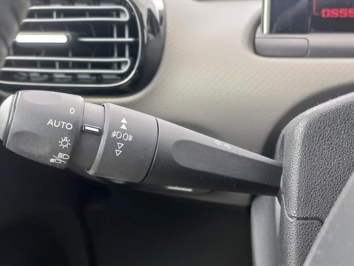 Citroën C4 Cactus - Afbeelding 16 van 30