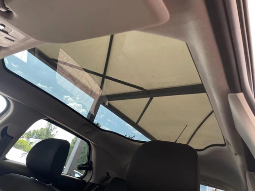 Citroën C4 Cactus - Afbeelding 18 van 30
