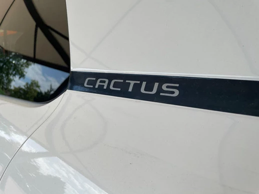 Citroën C4 Cactus - Afbeelding 21 van 30