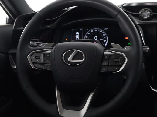 Lexus RZ - Afbeelding 15 van 30