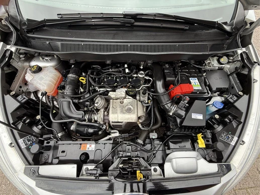 Ford B-MAX - Afbeelding 27 van 29