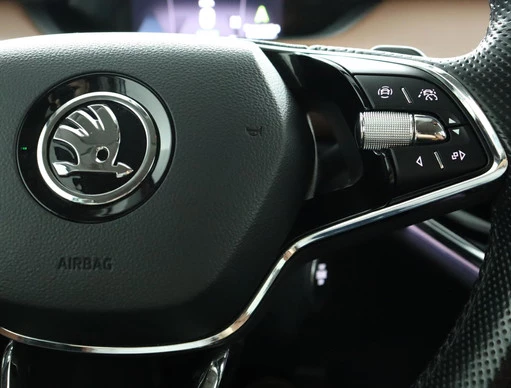 Škoda Enyaq iV - Afbeelding 22 van 30