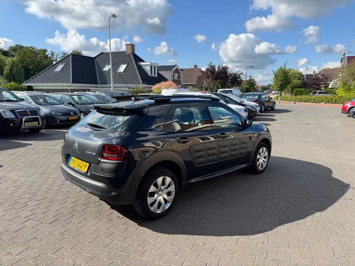 Citroën C4 Cactus - Afbeelding 12 van 14