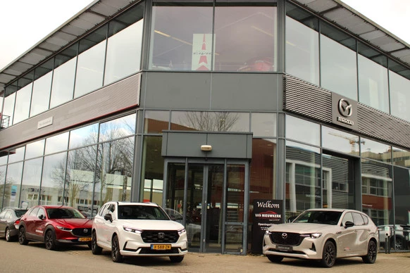 Mazda MX-30 - Afbeelding 5 van 5