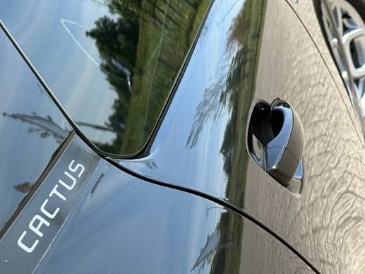 Citroën C4 Cactus - Afbeelding 5 van 29