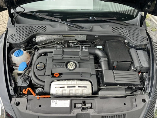 Volkswagen Beetle - Afbeelding 20 van 20