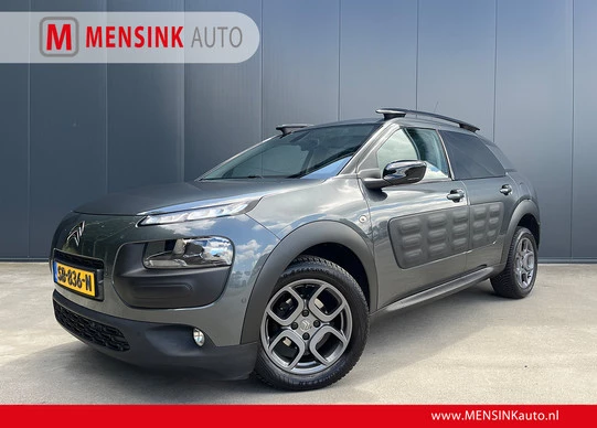 Citroën C4 Cactus - Afbeelding 1 van 30
