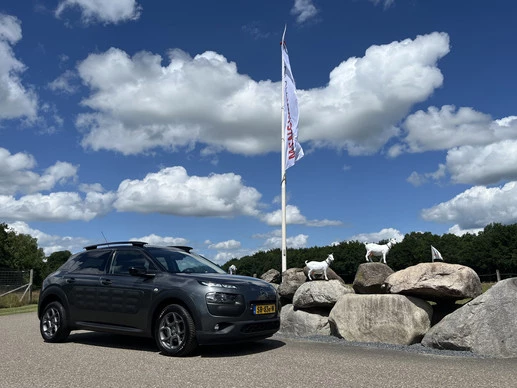 Citroën C4 Cactus - Afbeelding 6 van 30