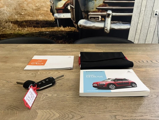 Citroën C4 Cactus - Afbeelding 7 van 30