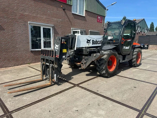 Bobcat  - Afbeelding 3 van 30
