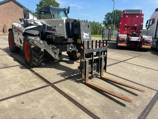 Bobcat  - Afbeelding 4 van 30