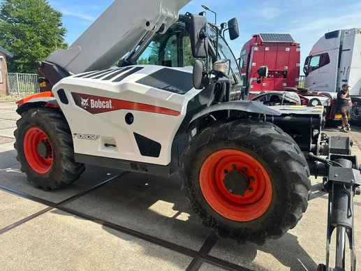 Bobcat  - Afbeelding 10 van 30