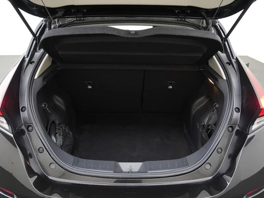 Nissan Leaf - Afbeelding 28 van 30