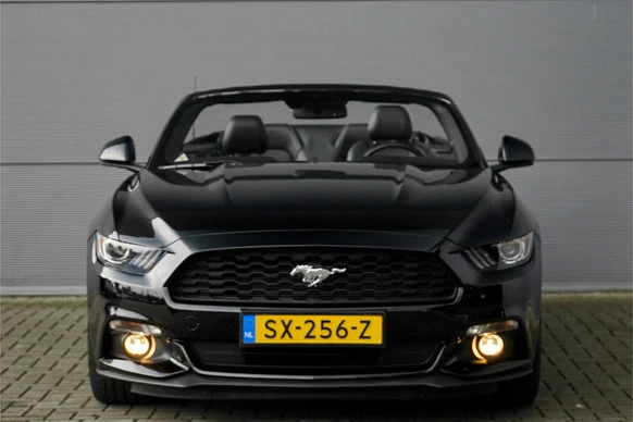 Ford Mustang - Afbeelding 14 van 30