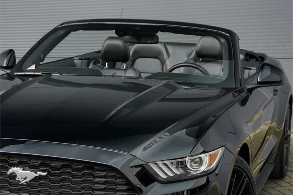 Ford Mustang - Afbeelding 17 van 30