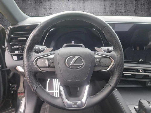 Lexus RX - Afbeelding 10 van 30